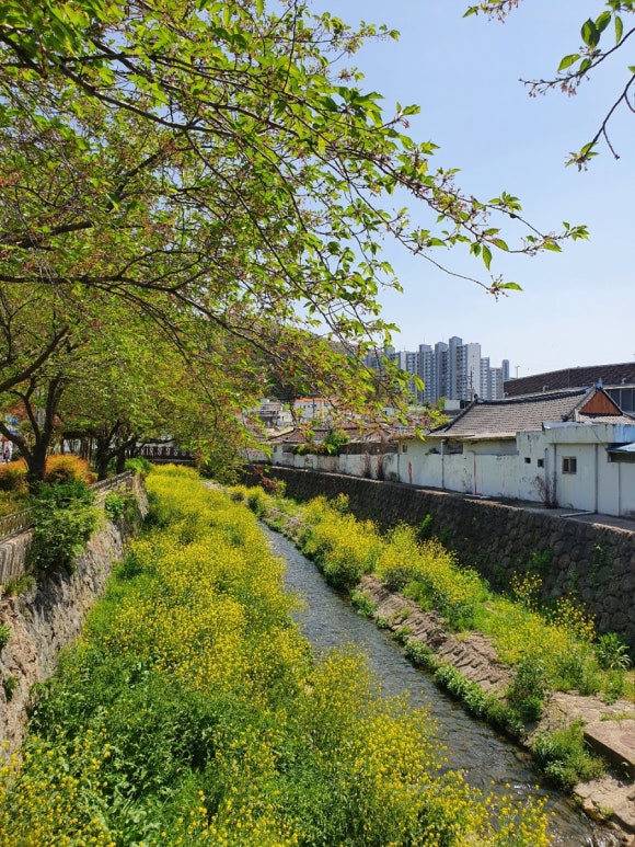 이디야 학운점 이미지