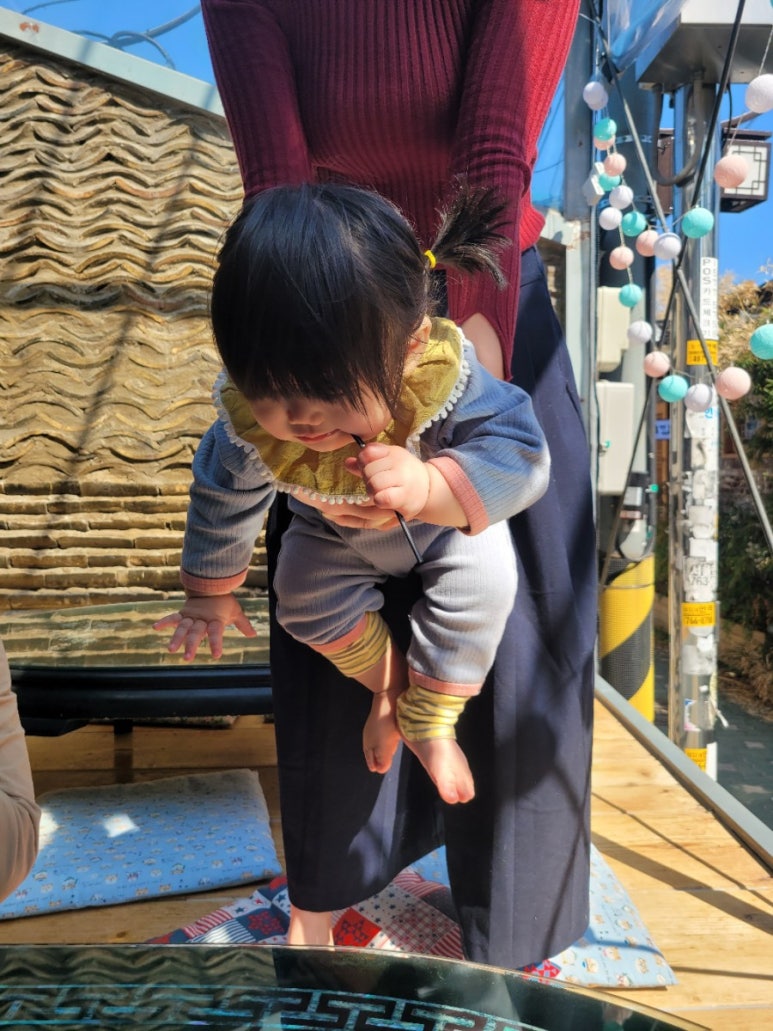 식물취향 이미지