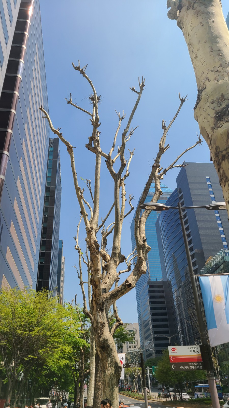하의순대 이미지