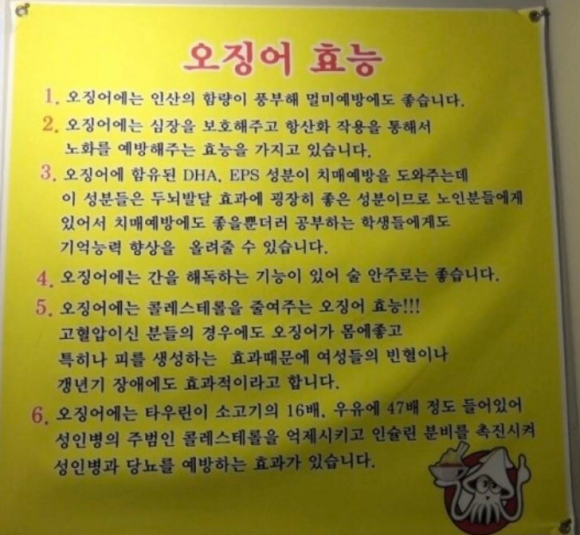싱싱한산오징어 이미지