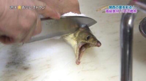다마트 이미지