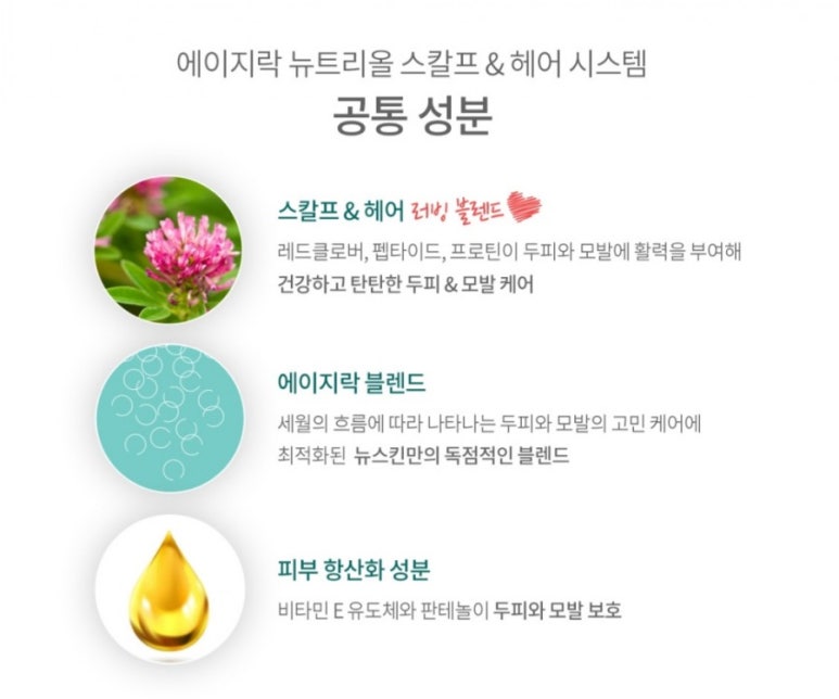 올시스템 이미지