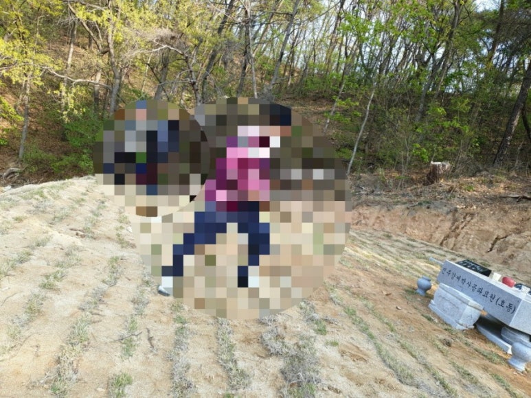 고인돌상조 이미지