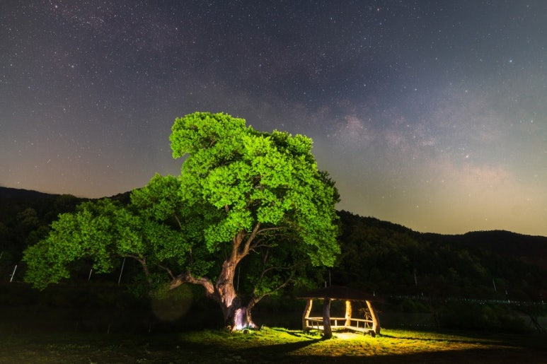 별밤 이미지