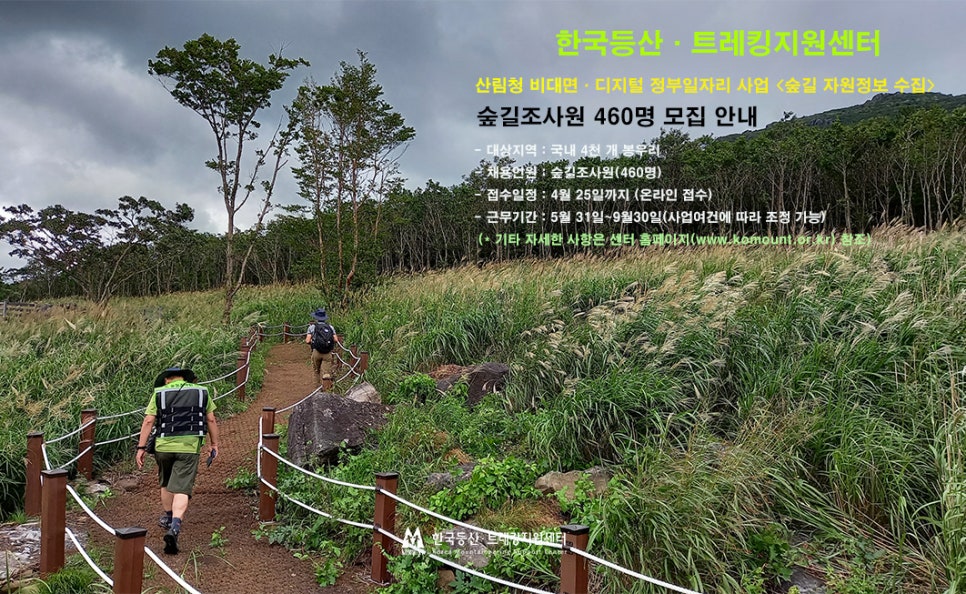 대한인력지원센터 이미지