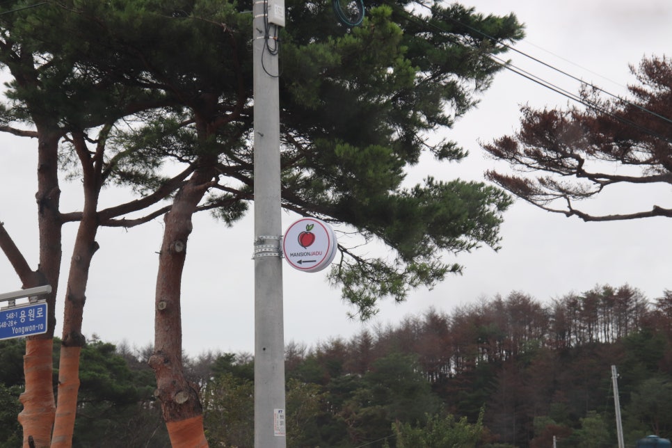 맨션자두 이미지