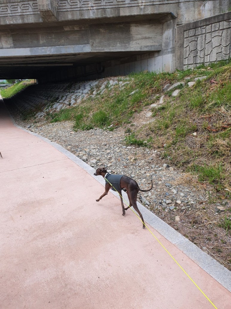 꾸울마켓 이미지