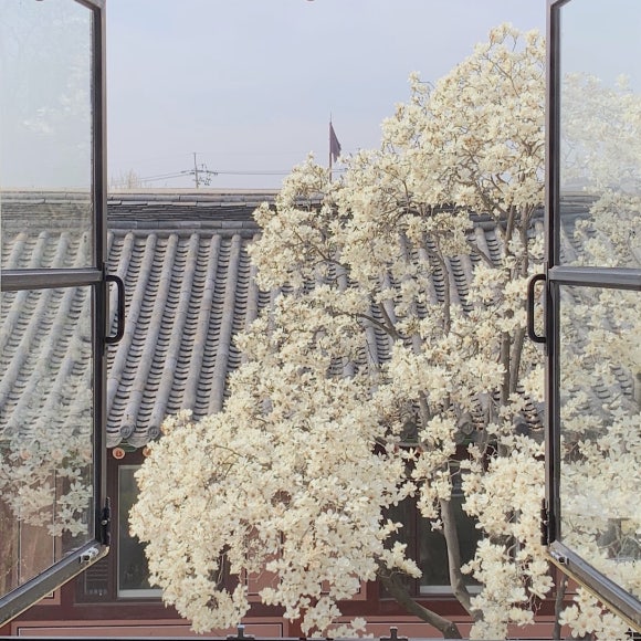 배경화면 공유 lovelovelove 🌼 (iphone xs) : 네이버 블로그