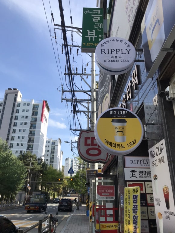 리플리네일 이미지