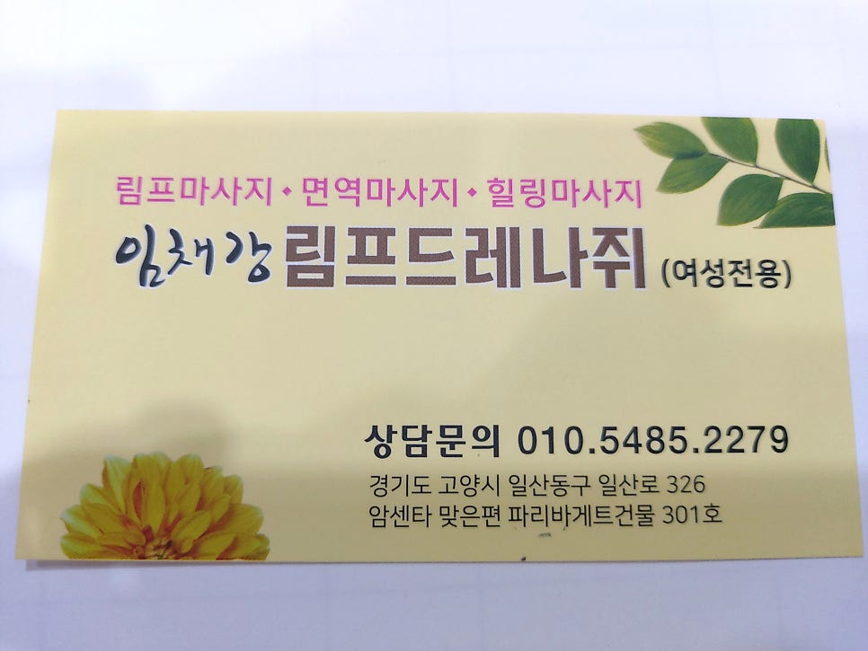 임채강림프드레나쥐 이미지