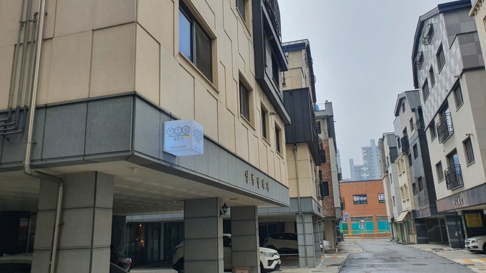 위즈덤케이크 이미지
