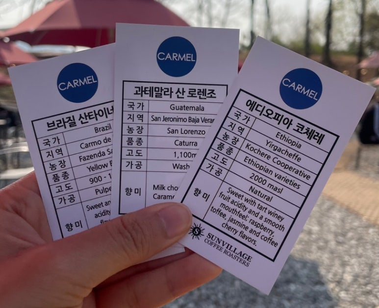 카르멜 인 포레스트 이미지