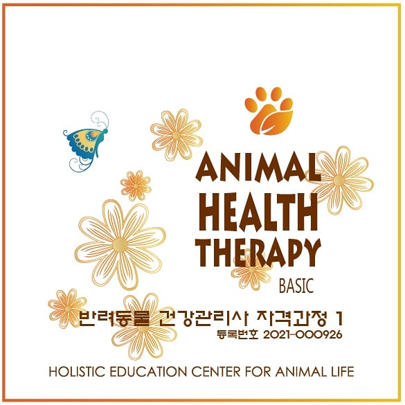 더힐테라피센터 이미지