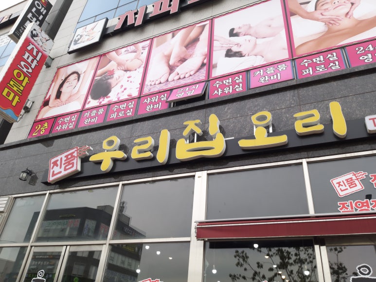 우리집오리 이미지