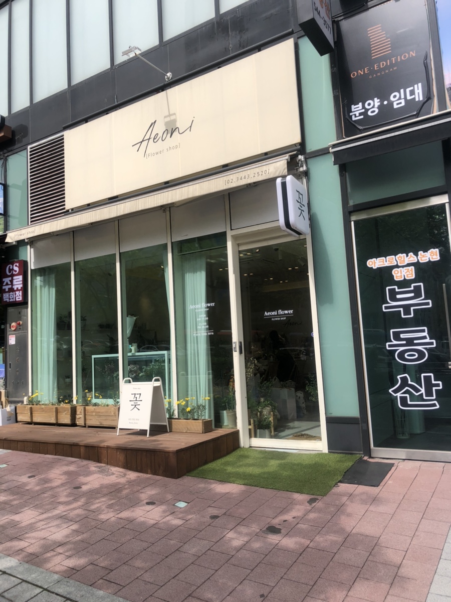 이오니플라워 이미지