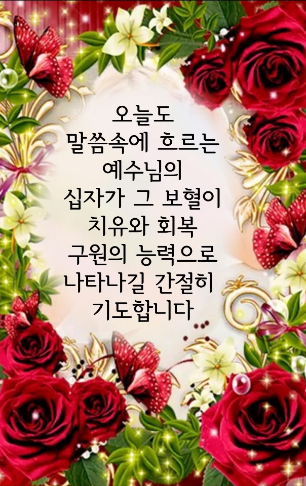 소망 인셀덤 이미지