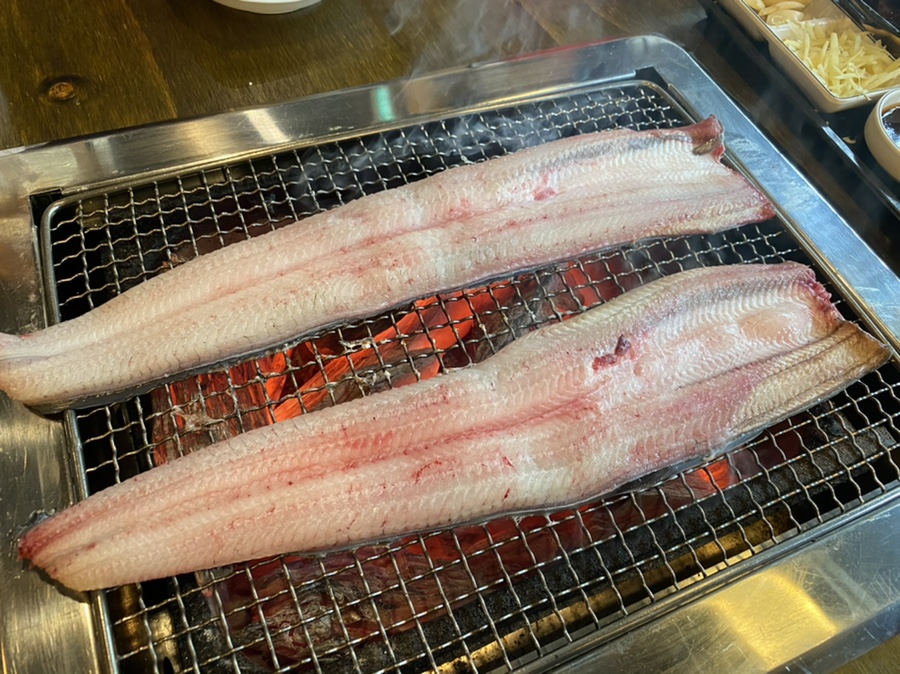 천상애장어가 이미지