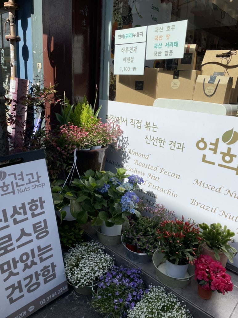 연희견과 이미지