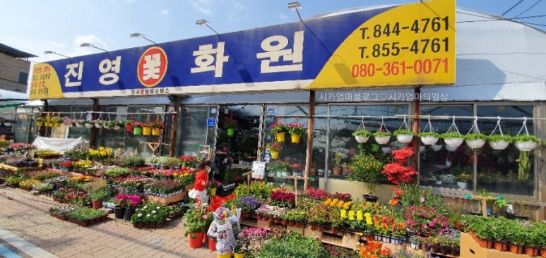 진영화원 이미지