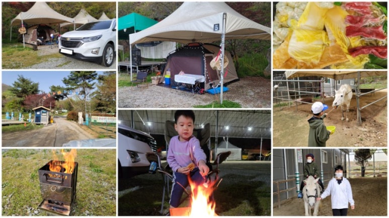 산들래 야영장 이미지