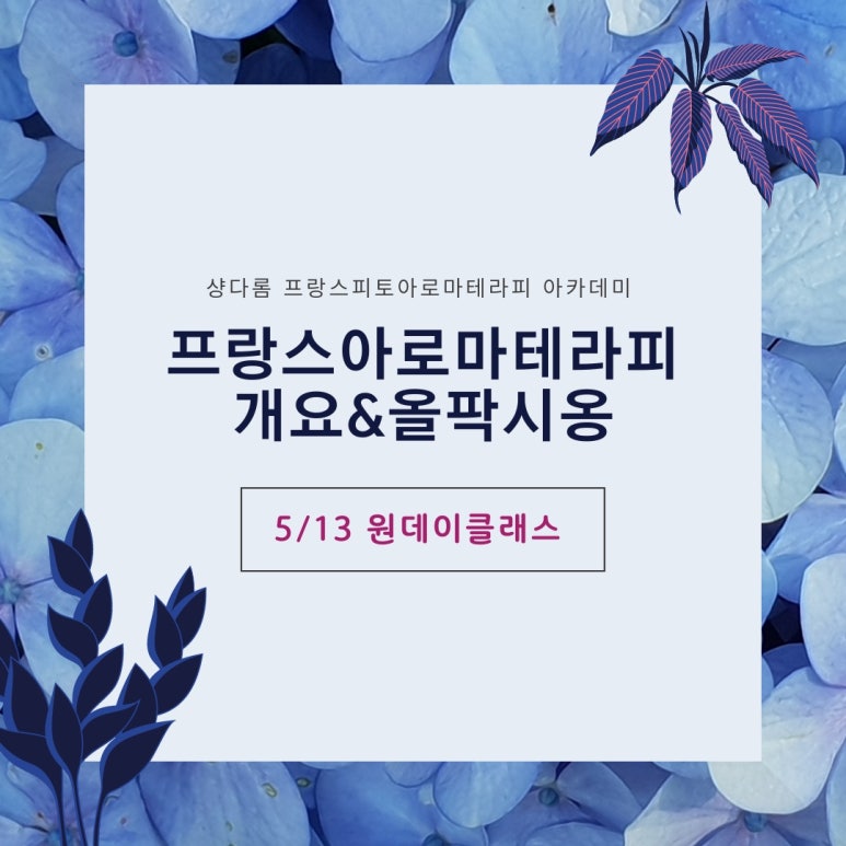 클라스아로마테라피 이미지