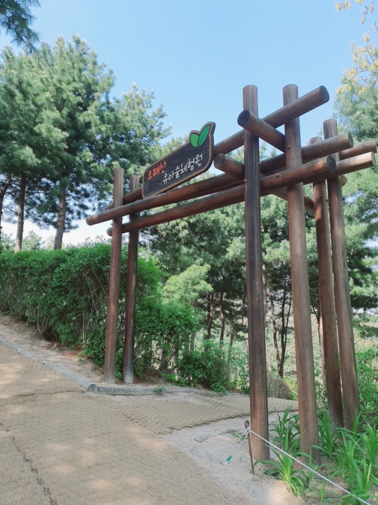오패산 유아숲체험원 이미지