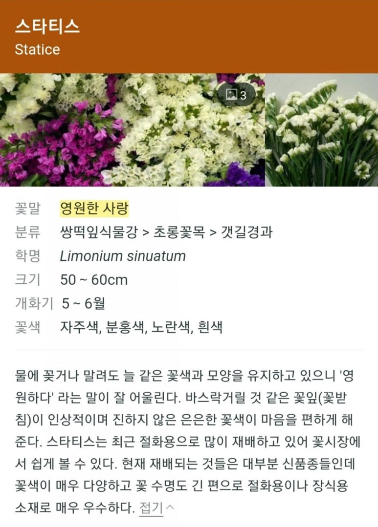 휴다움카페 이미지