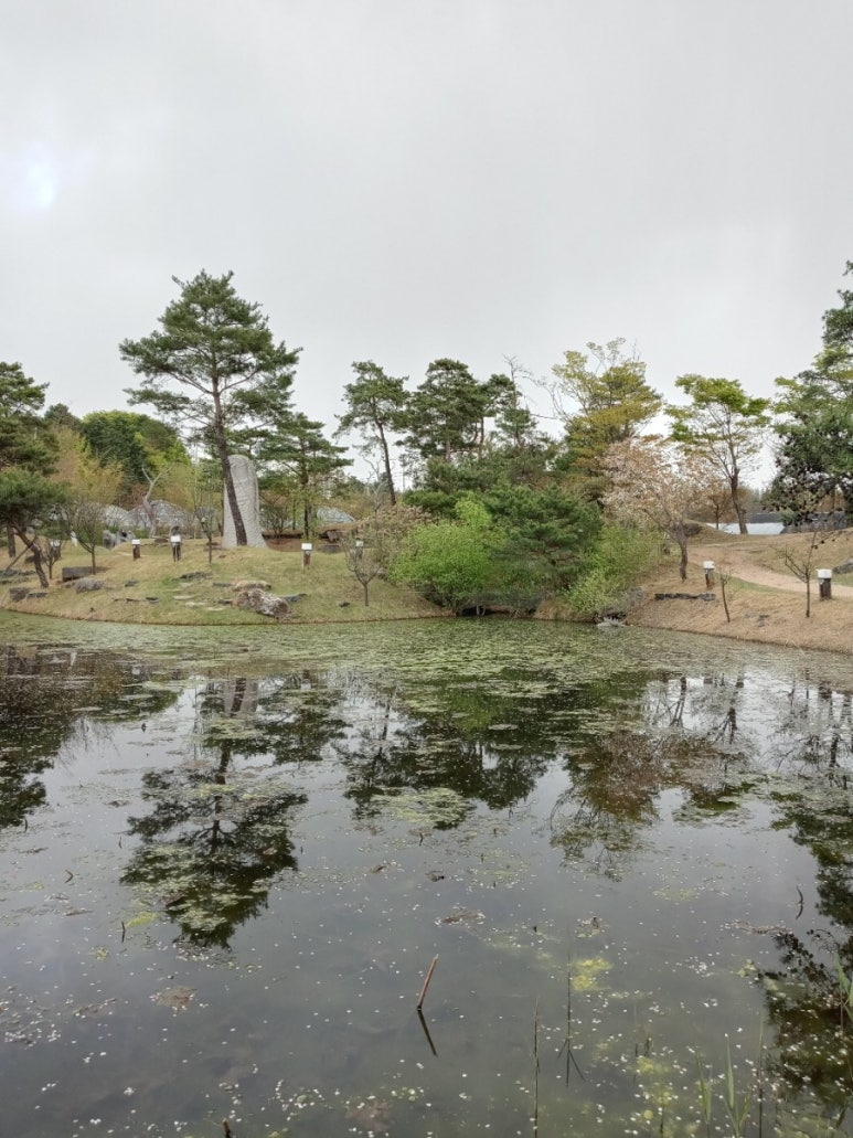 너른우산 이미지