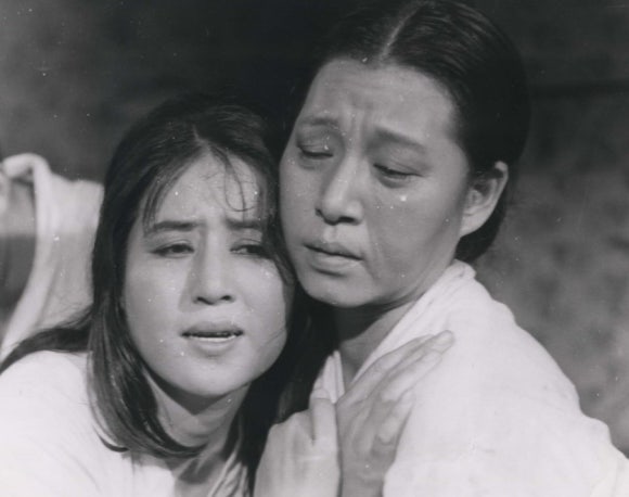 상록수(Evergreen) 이미지