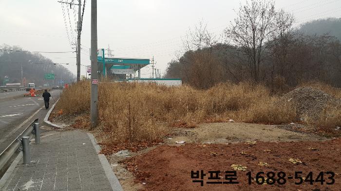상리주유소 이미지