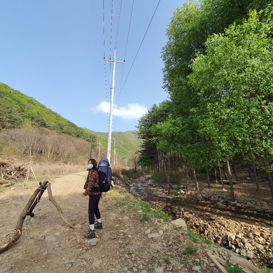 호명산잣나무숲속캠핑장 이미지