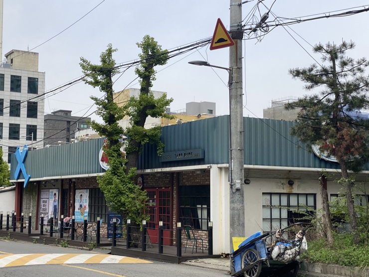 피자알볼로직영점 이미지