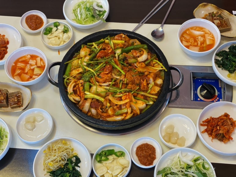 햇살마루청둥오리 이미지