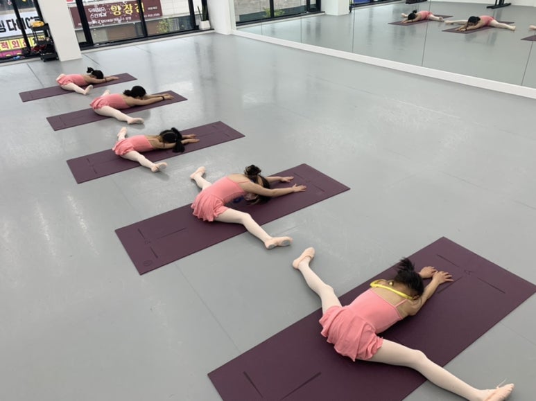 로이발레학원 이미지