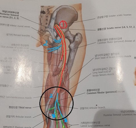안아픈세상한의원 이미지