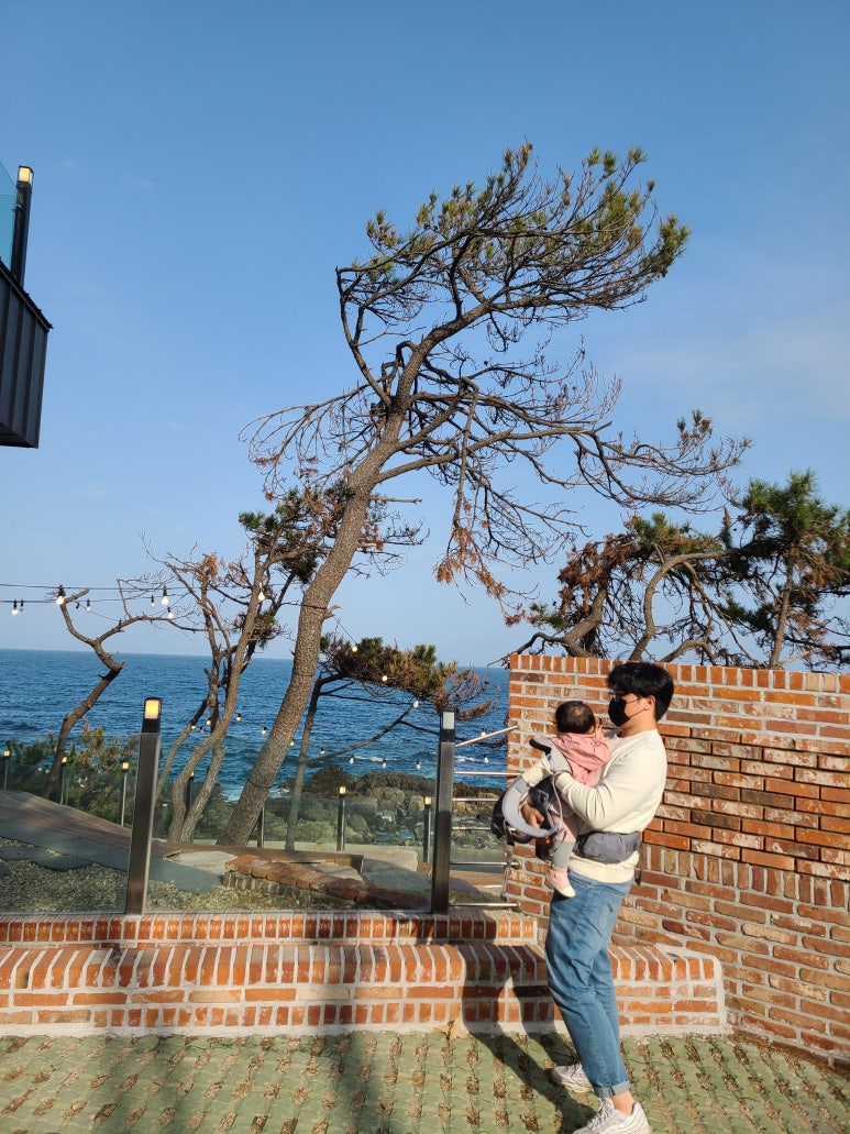 가나코퍼레이션 이미지