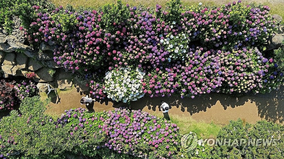 제주여행1번지 이미지