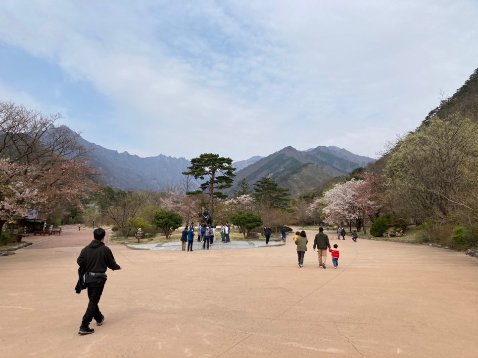 설악산상회 이미지