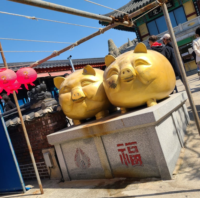 뽑기오빠신기 이미지