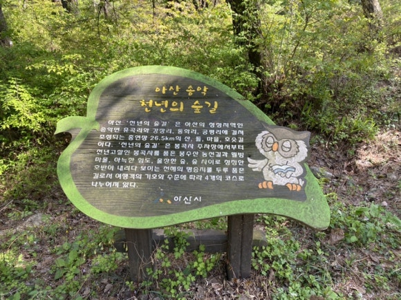 천년웰빙 이미지