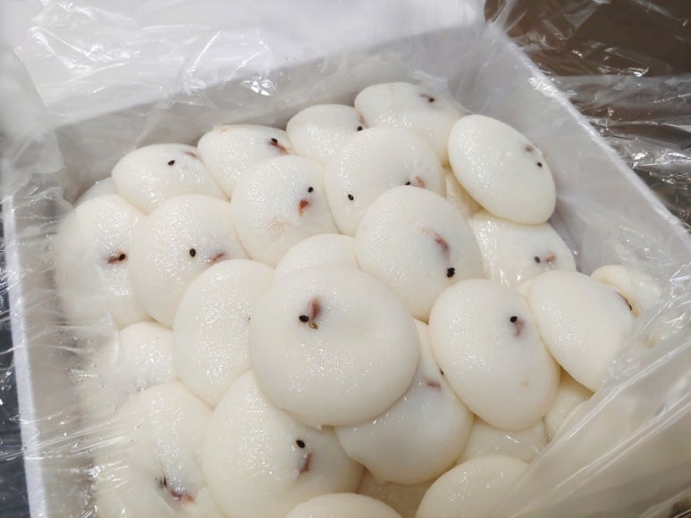 궁 잔기지떡(서울대점) 이미지