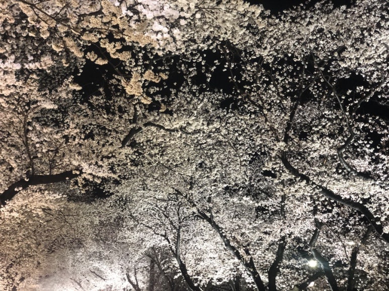 불국사미장원 이미지