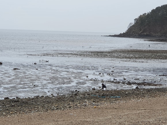 조은파출부 이미지
