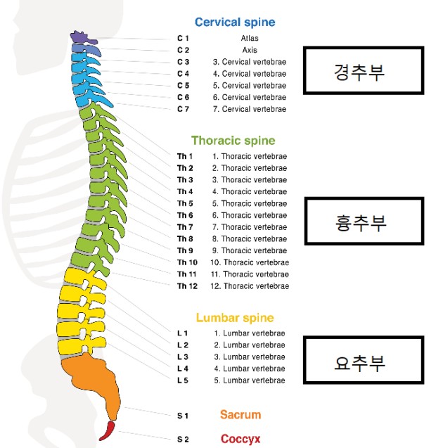 안전지대 이미지
