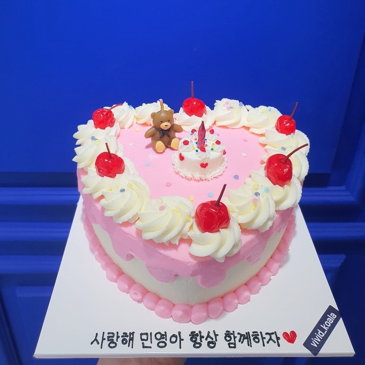 비비드코알라 이미지