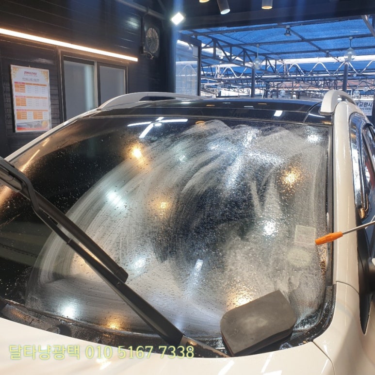 달타냥광택 이미지