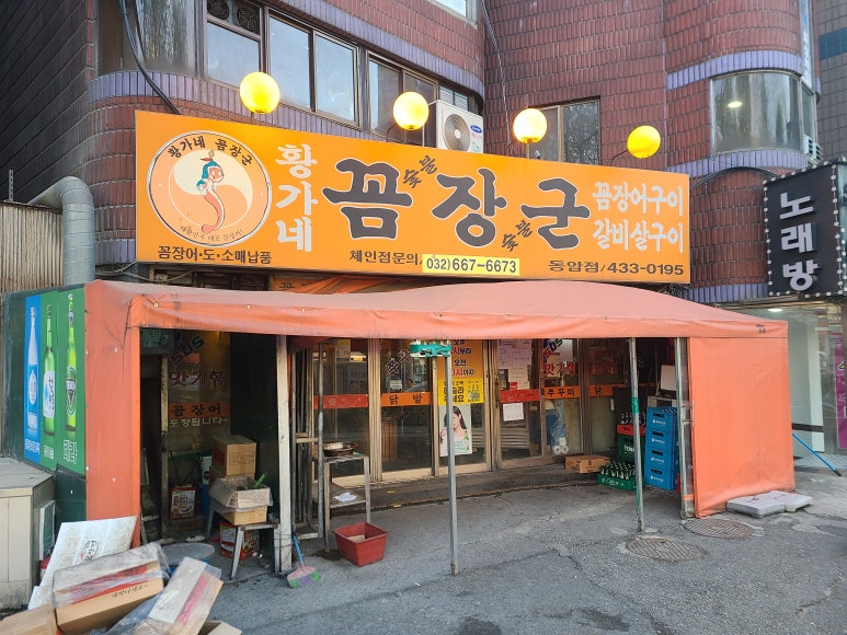 황가네꼼장어 이미지