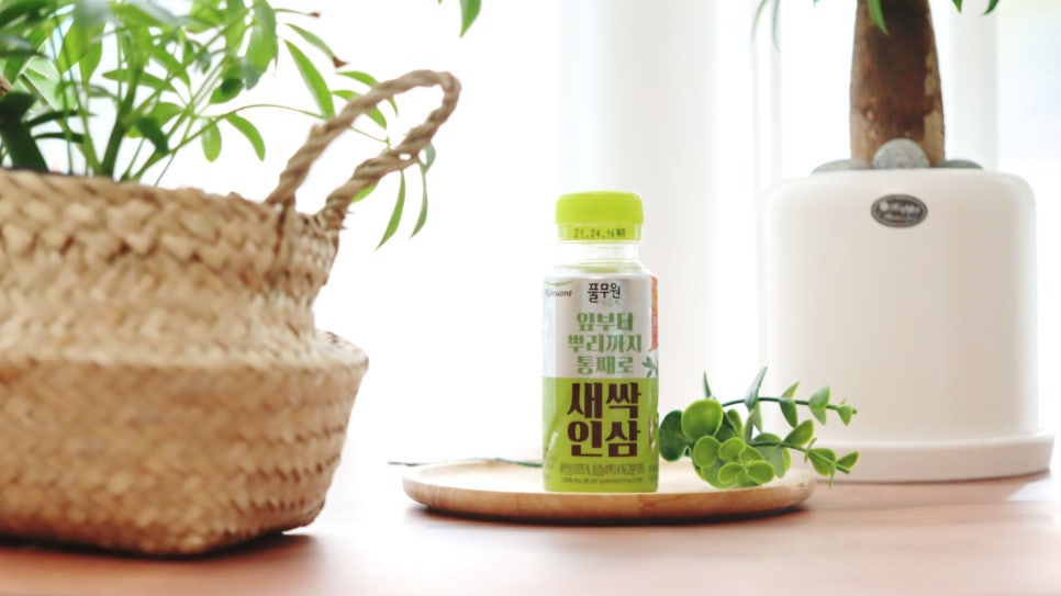 전남녹즙 이미지