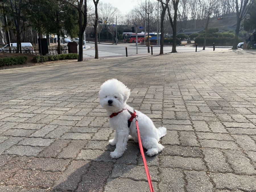 쏭헬스 이미지