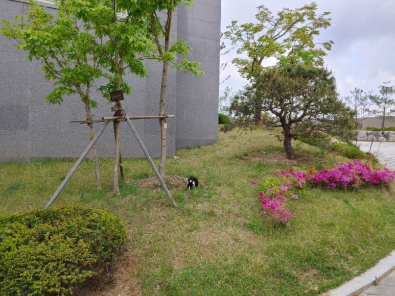 토끼가사는정원 이미지